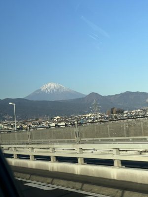 IMG_1338.jpeg